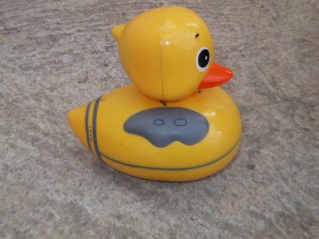 Canard musical - 4 €